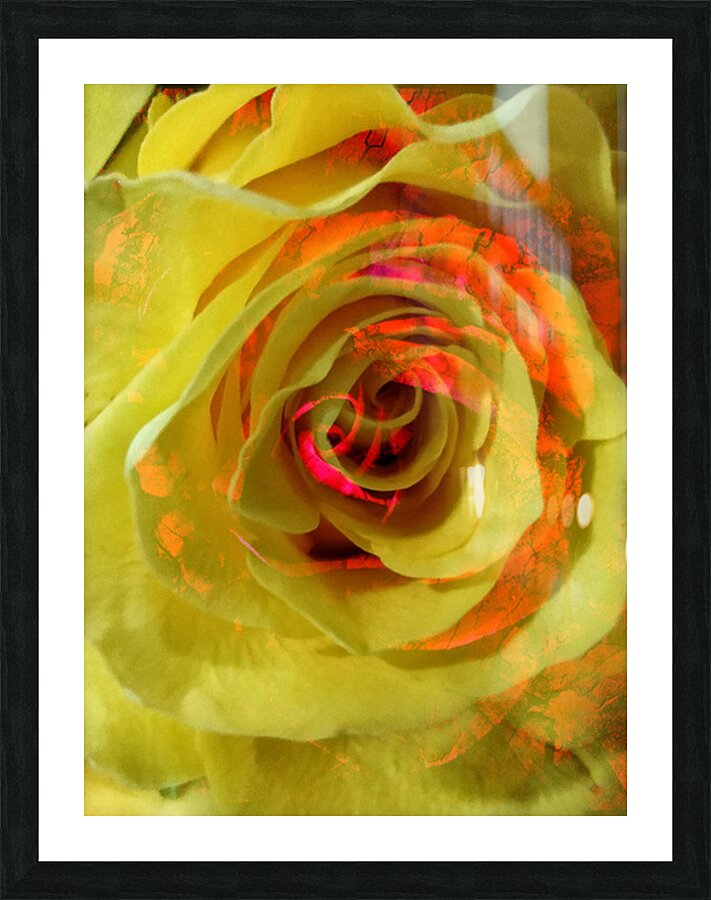 V1664 Picture Frame print