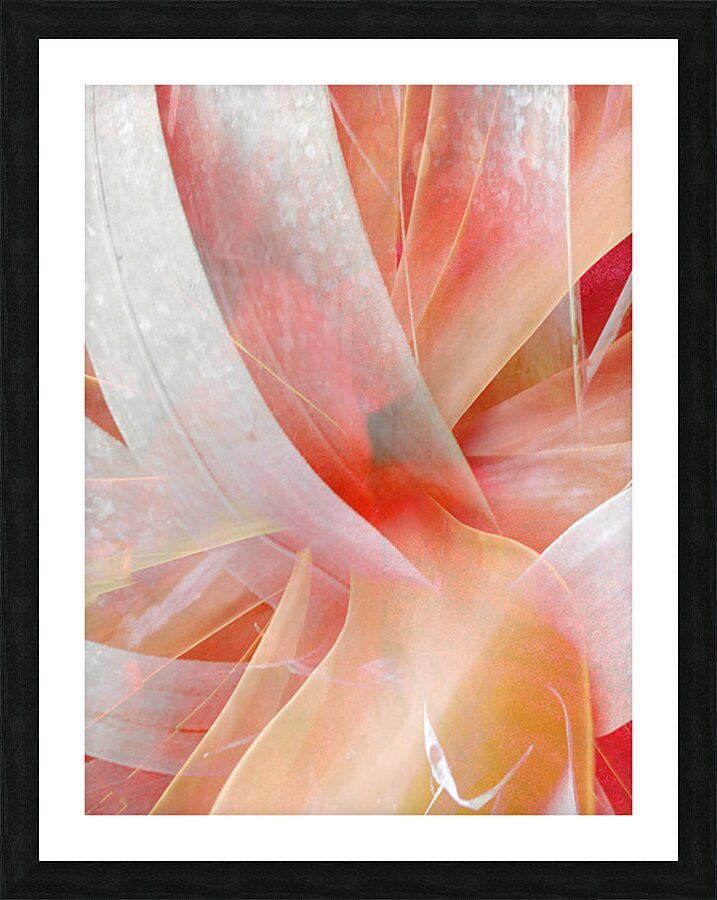V1667 Picture Frame print