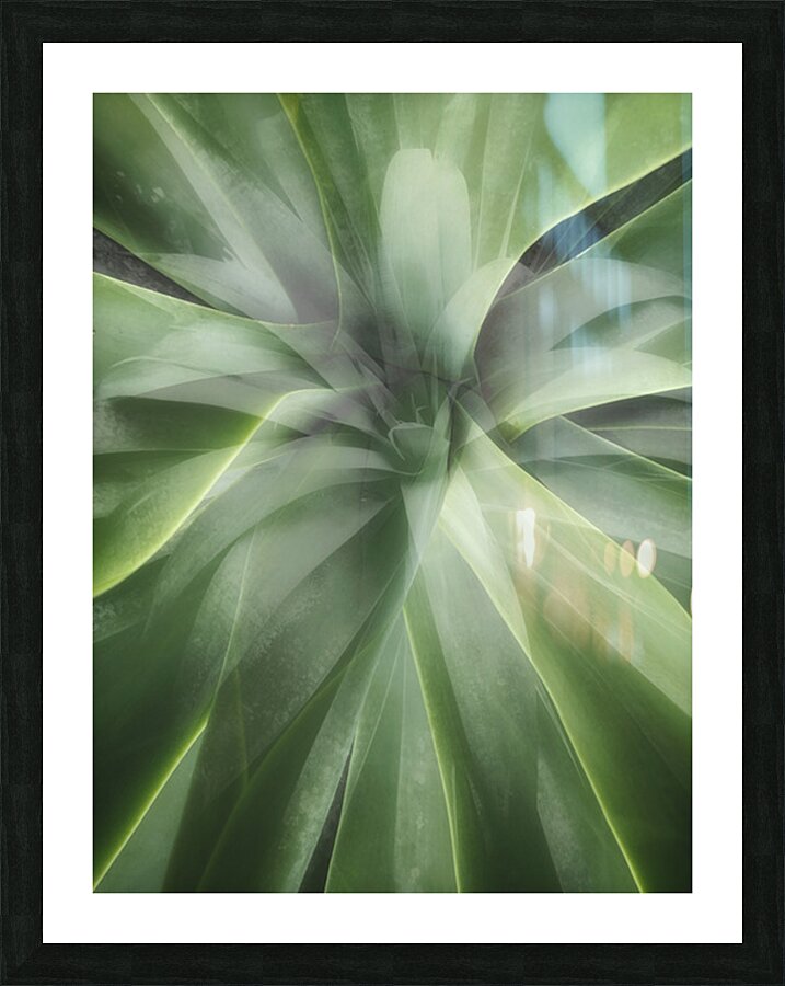 V1669 Picture Frame print
