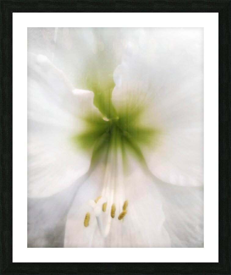 V1670 Picture Frame print