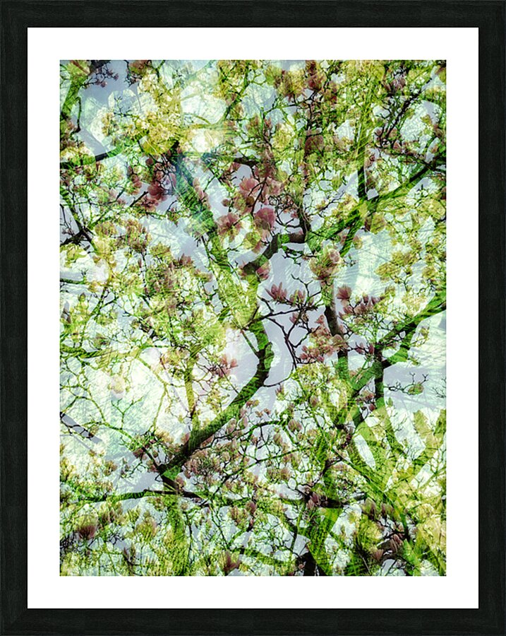 V1671 Picture Frame print