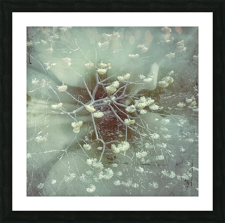 V1673 Picture Frame print