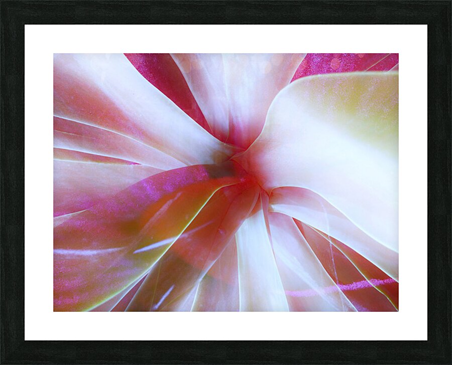 V1674 Picture Frame print