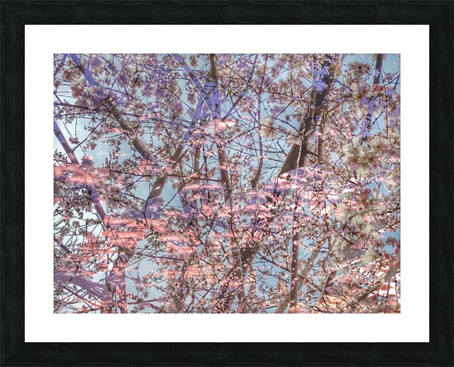 V1675 Picture Frame print