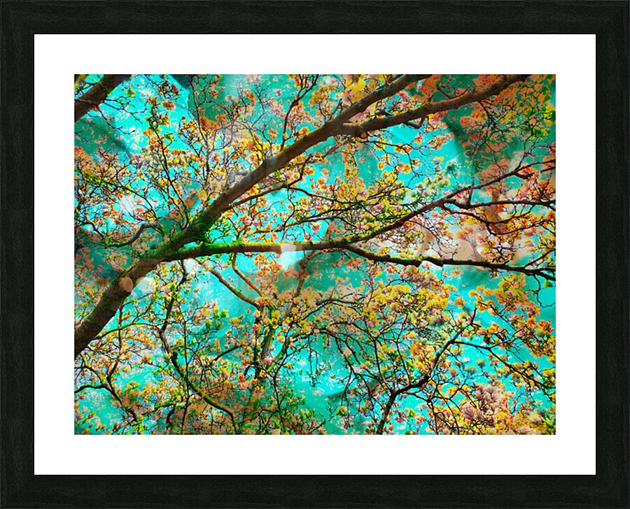 V1676 Picture Frame print