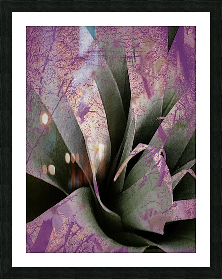 V1677 Picture Frame print