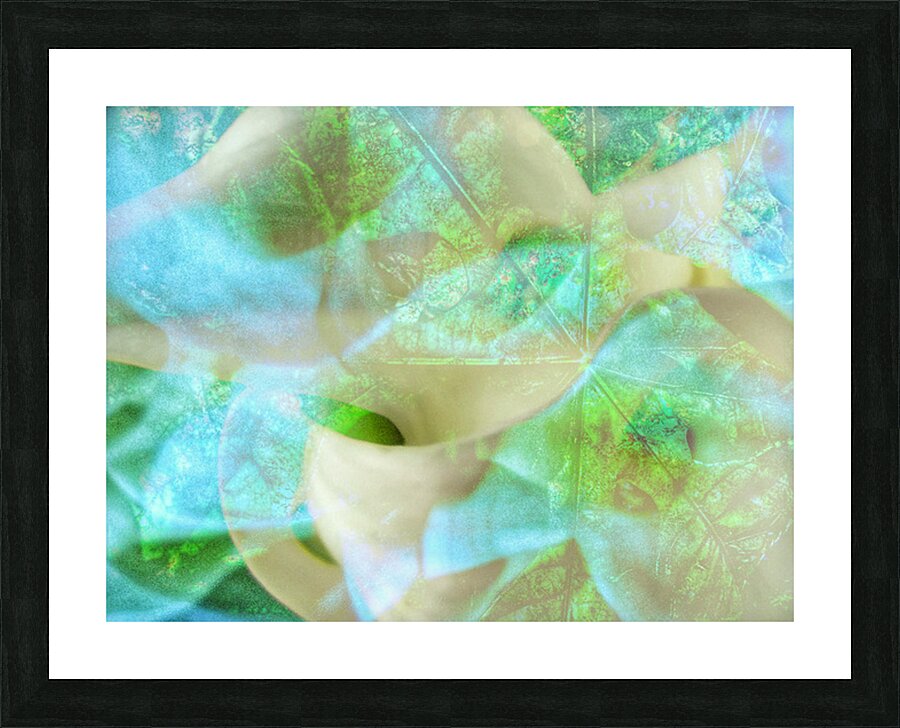 V1678 Picture Frame print