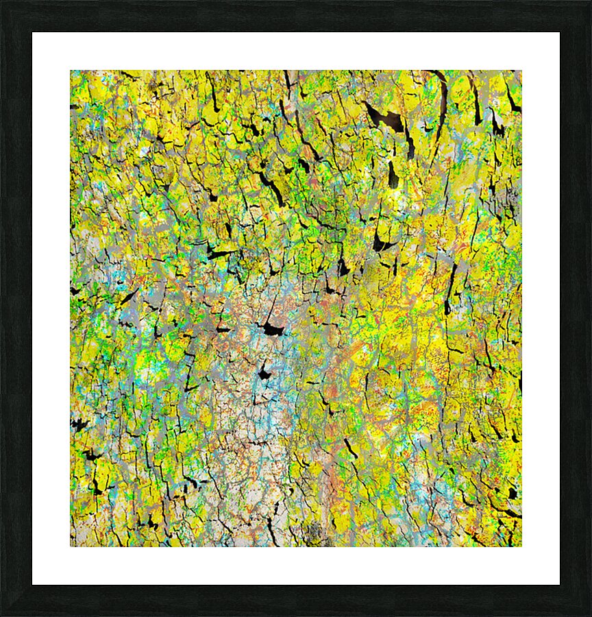 V1679 Picture Frame print