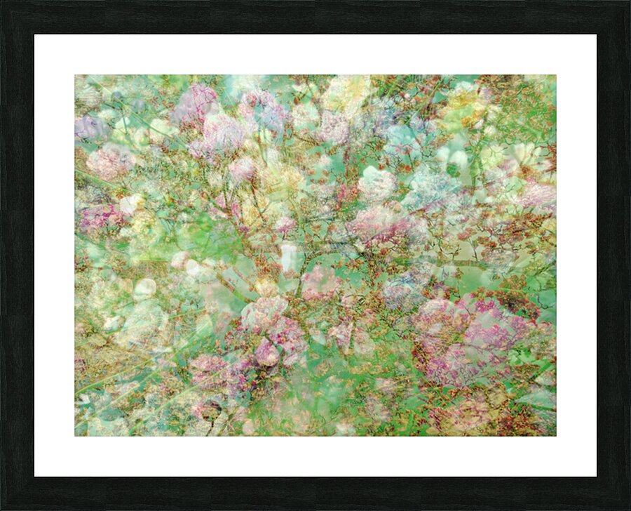 V1680 Picture Frame print
