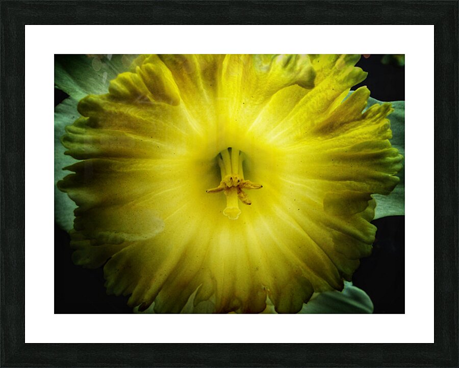 V1681 Picture Frame print