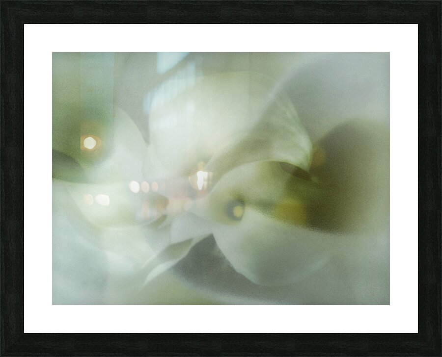 V1682 Picture Frame print