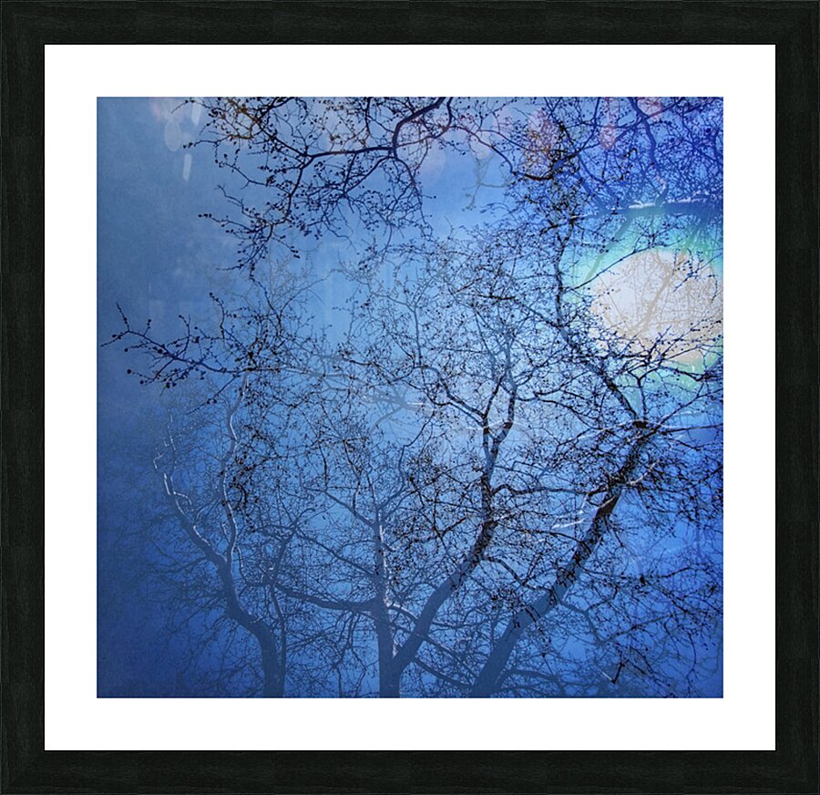 V1683 Picture Frame print