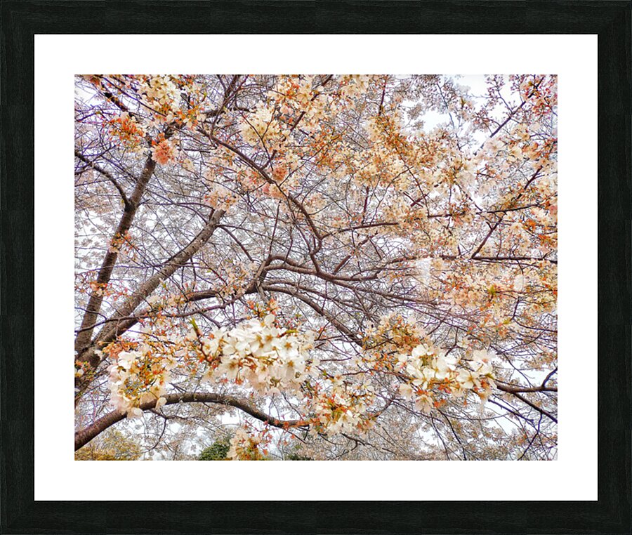 V1685 Picture Frame print