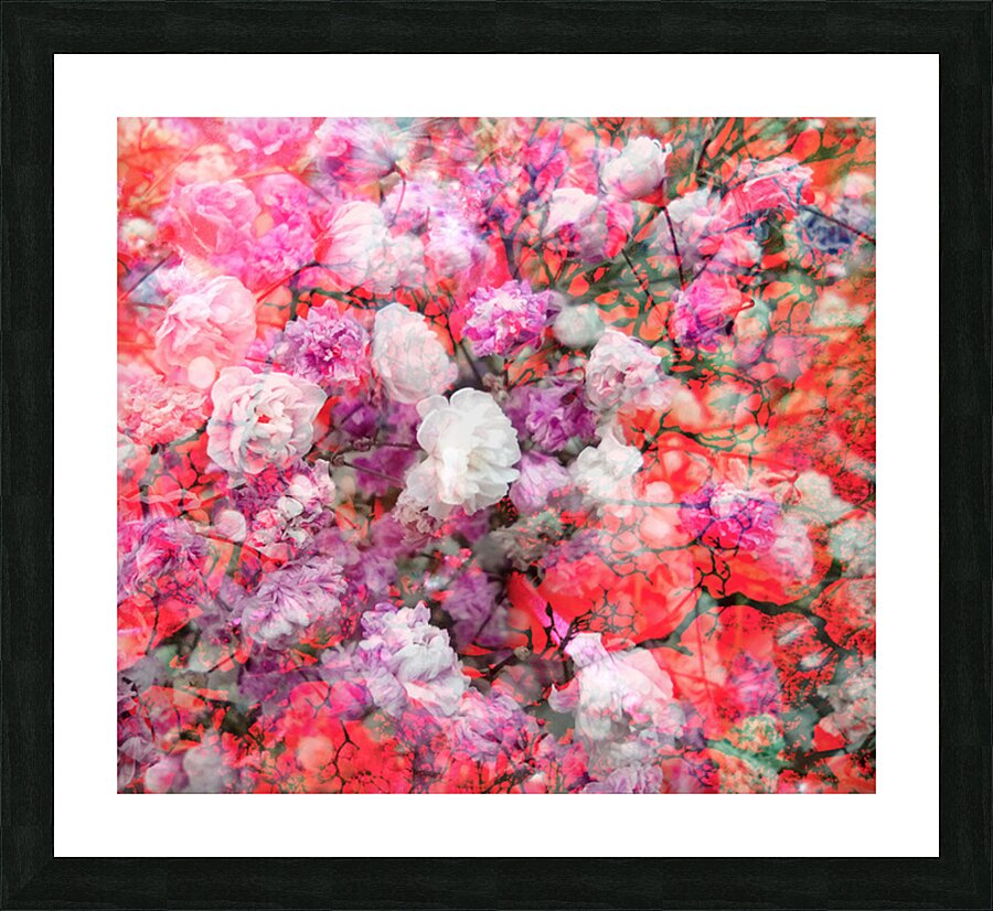 V1686 Picture Frame print