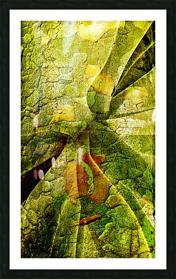 V1687 Picture Frame print