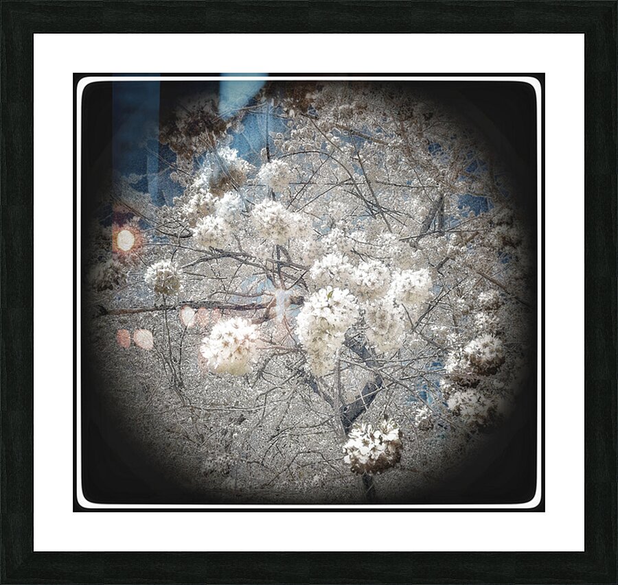 V1688 Picture Frame print