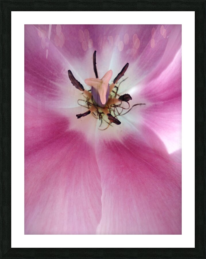 V1689 Picture Frame print