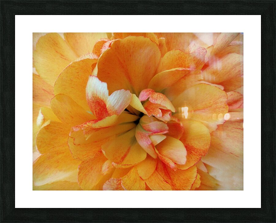 V1690 Picture Frame print