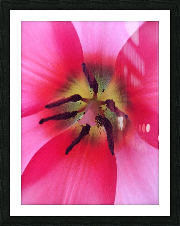 V1691 Picture Frame print