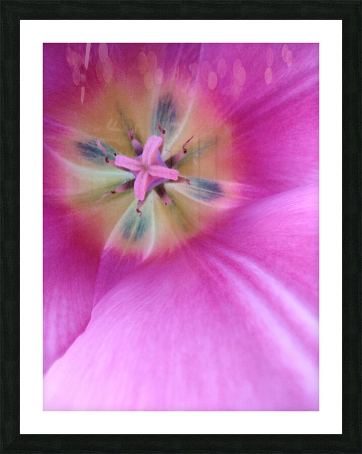 V1692 Picture Frame print