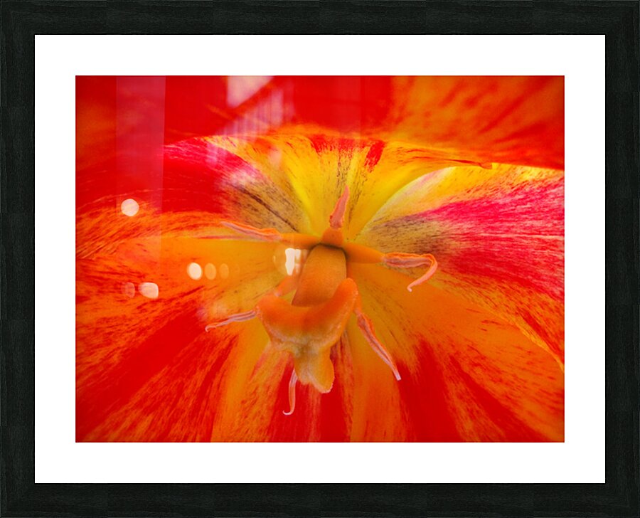 V1693 Picture Frame print