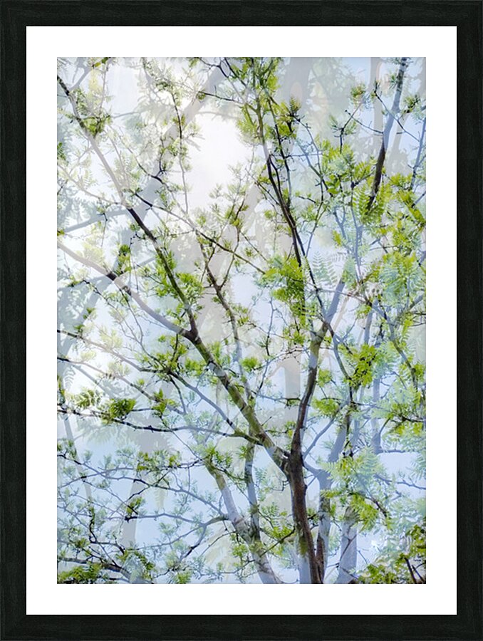 V1697 Picture Frame Printing