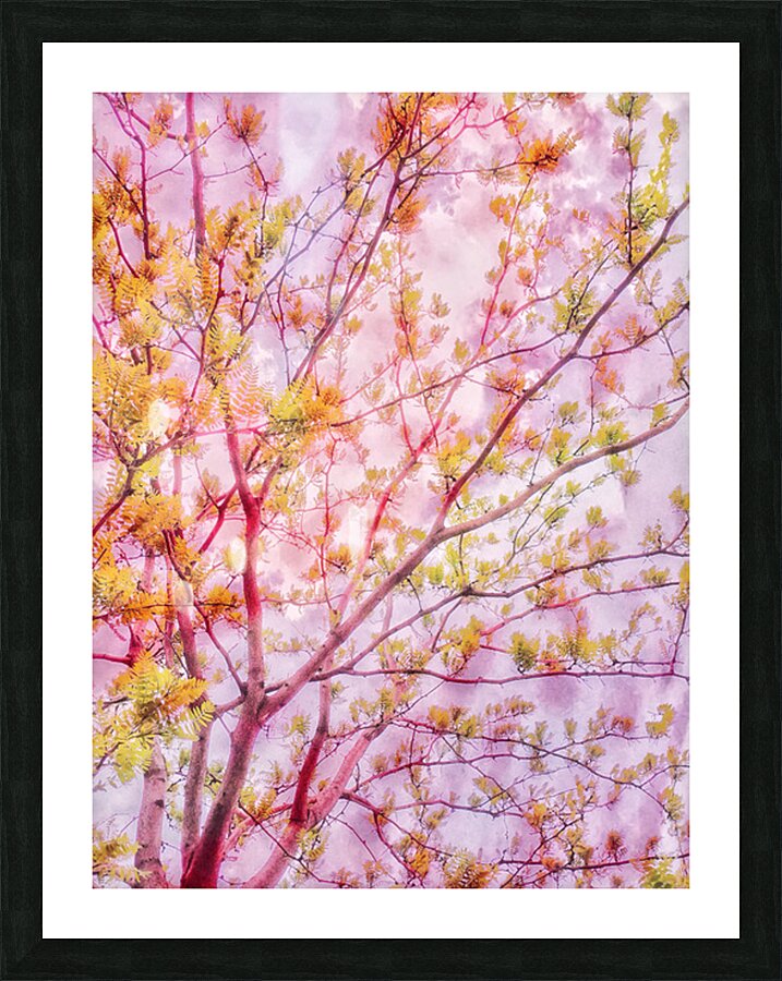 V1703 Picture Frame print