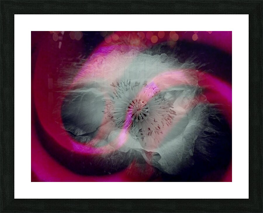 V1707 Picture Frame print