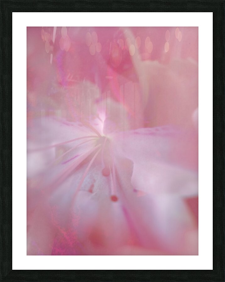 V1708 Picture Frame print
