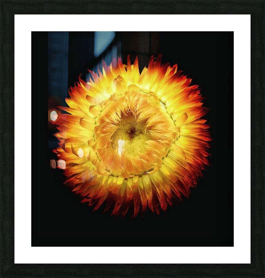 V1711 Picture Frame print