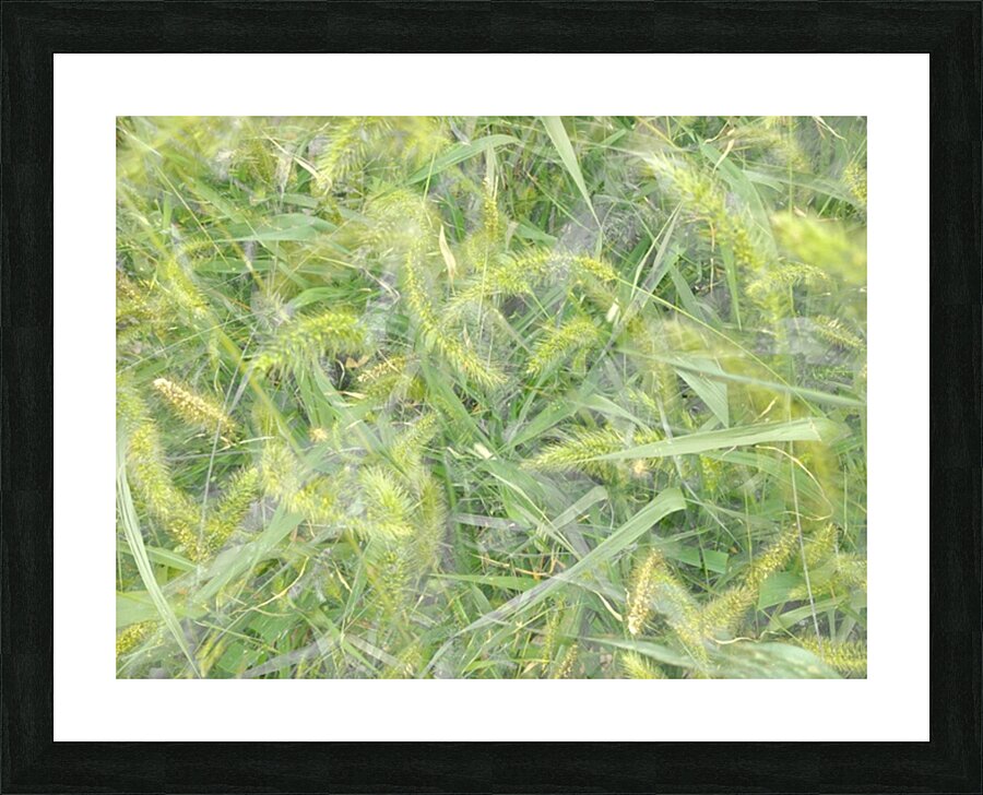 V1712 Picture Frame print