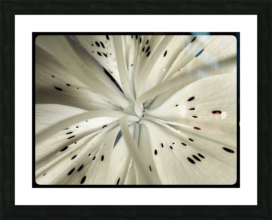 V1713 Picture Frame print