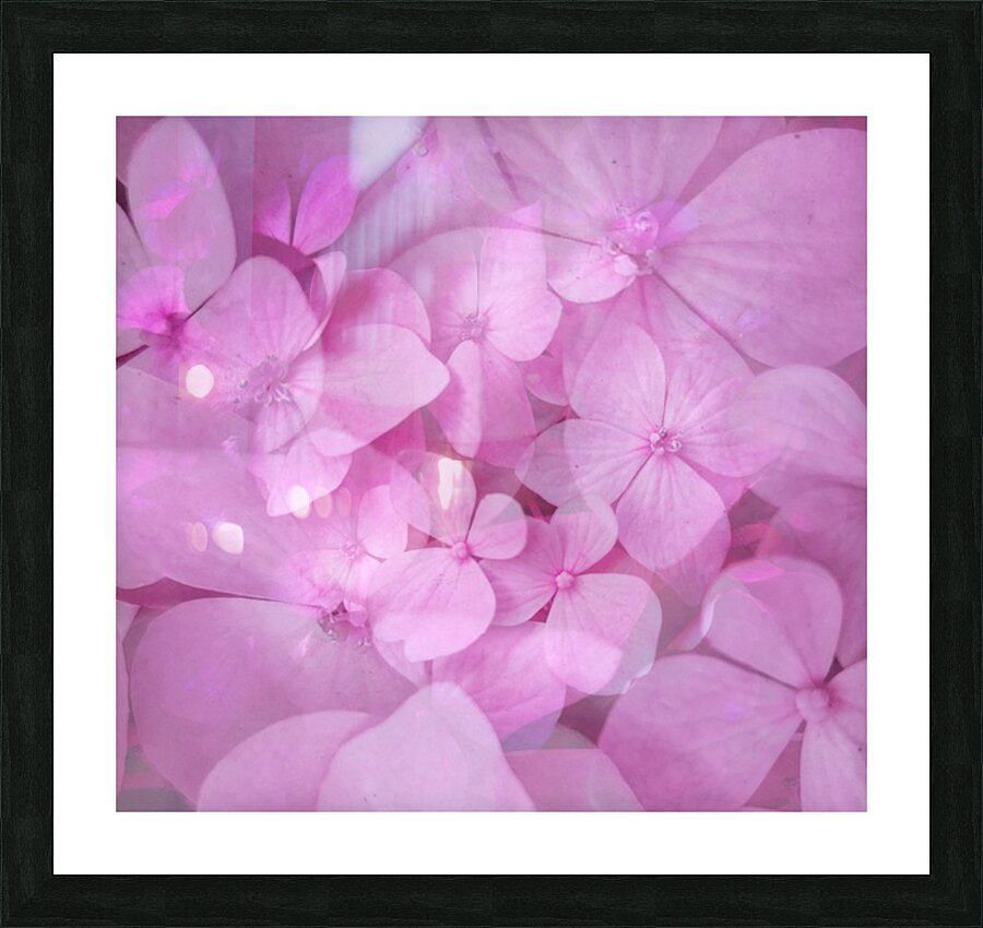 V1717 Picture Frame print