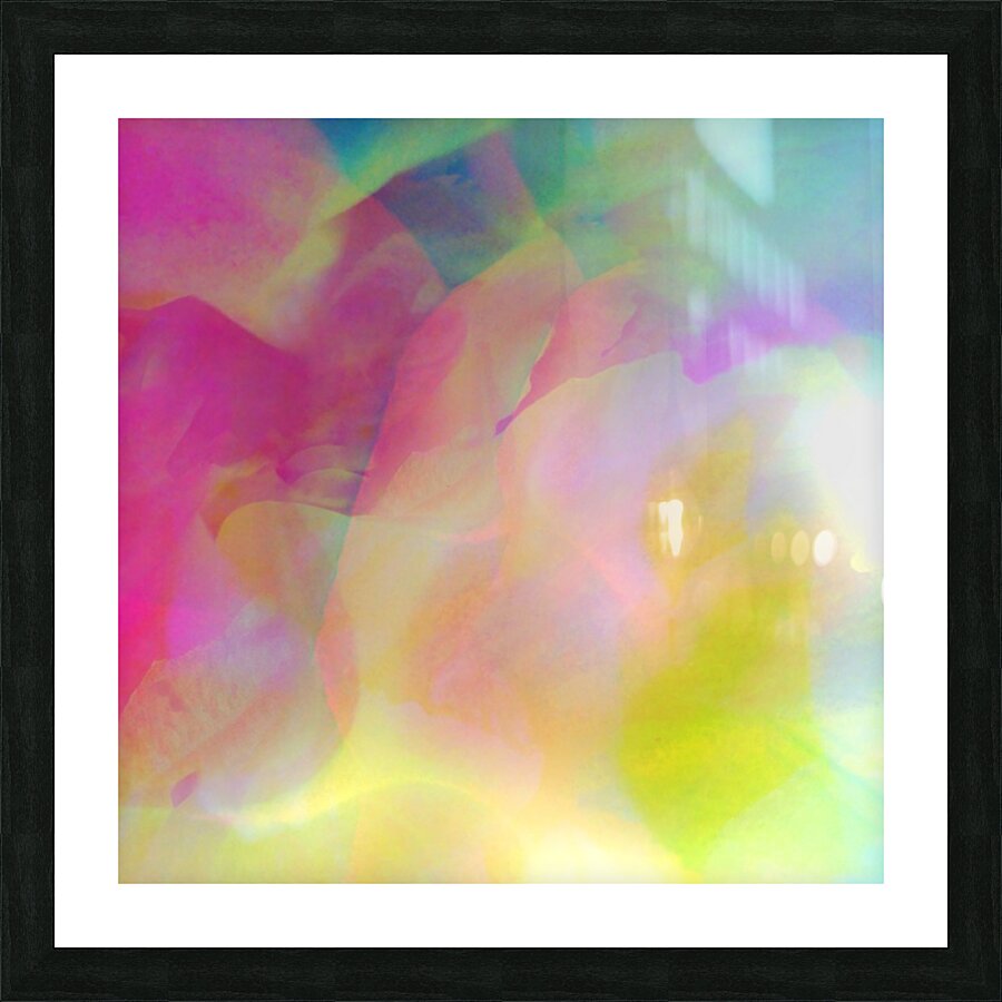V1720 Picture Frame print