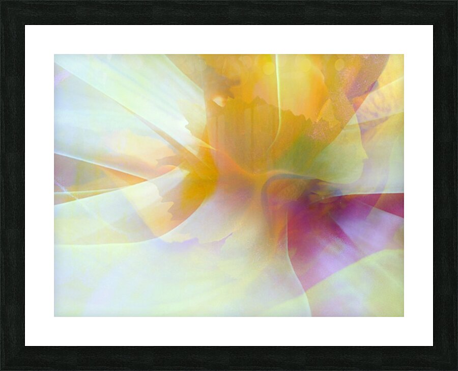 V1723 Picture Frame print