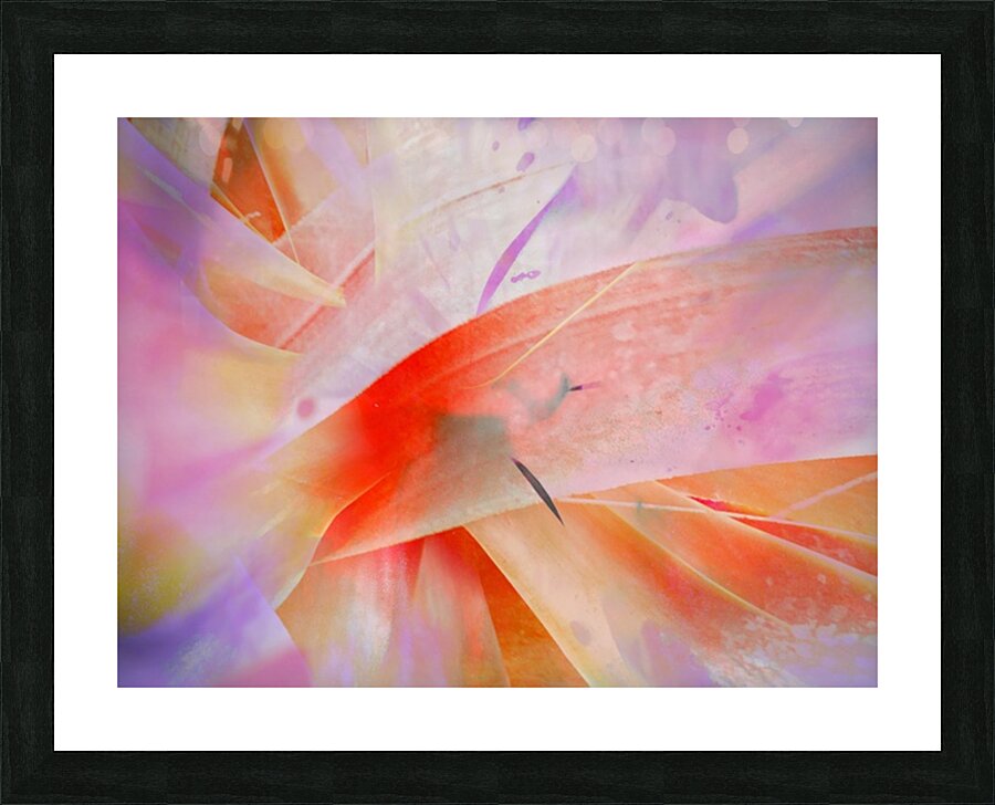 V1725 Picture Frame print