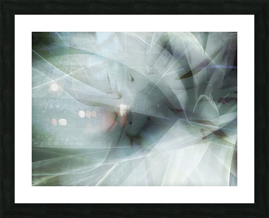 V1726 Picture Frame print