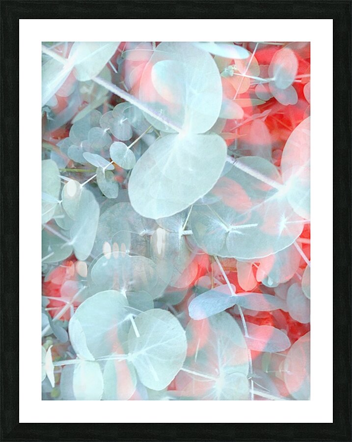 V1730 Picture Frame print