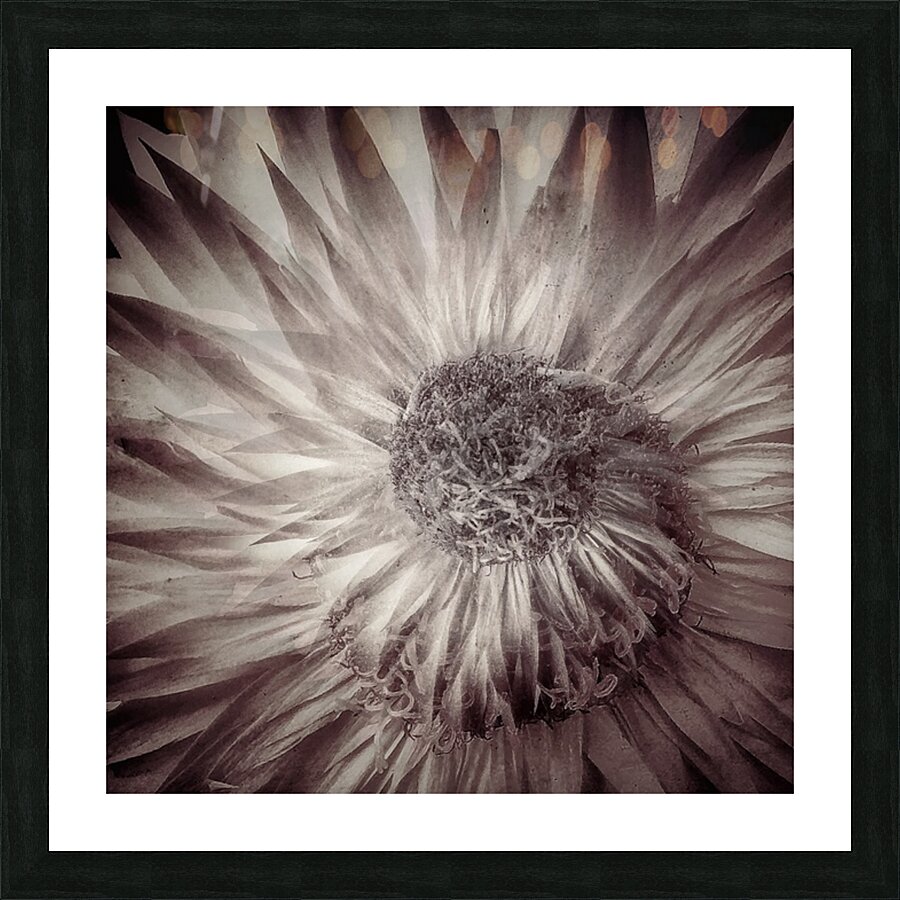 V1731 Picture Frame print