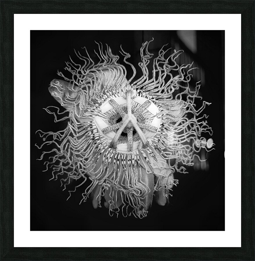 V1733 Picture Frame print