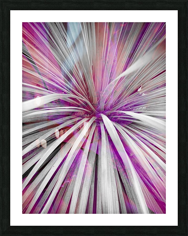V1739 Picture Frame print