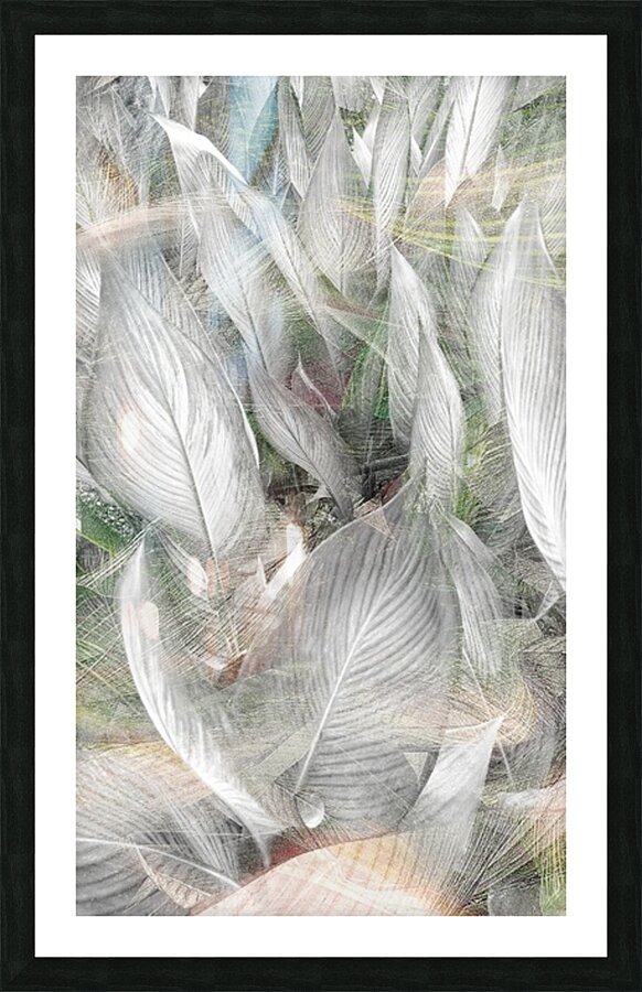 V1743 Picture Frame print