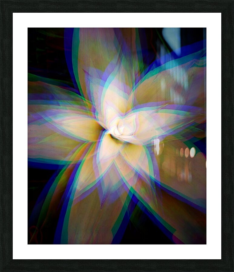 V1754 Picture Frame print