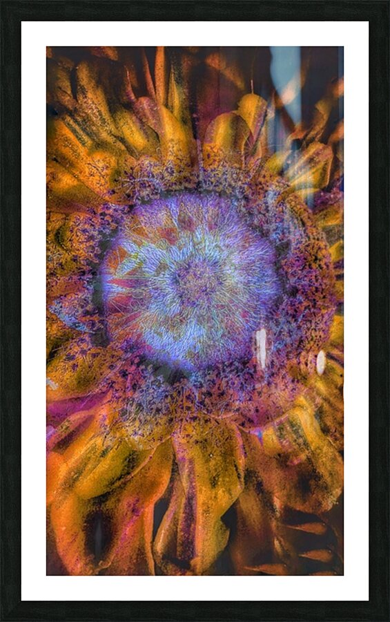 V1759 Picture Frame print