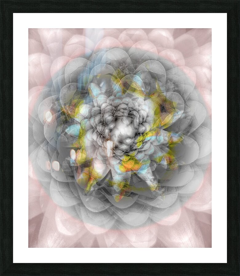 V1762 Picture Frame print