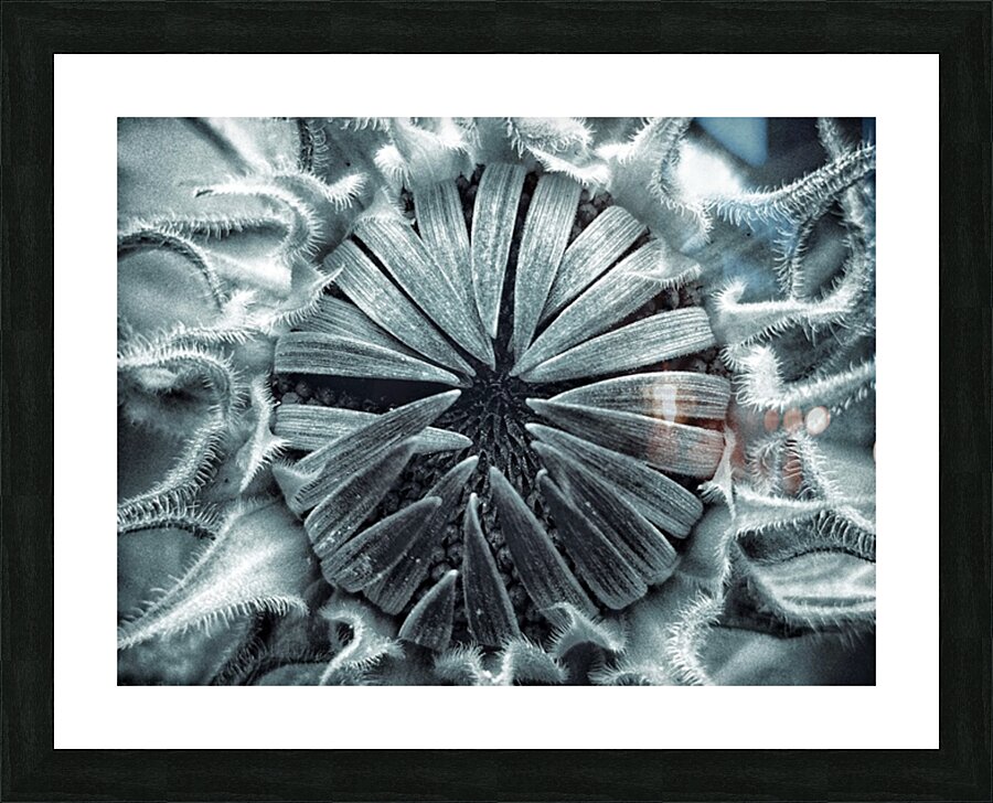 V1767 Picture Frame print