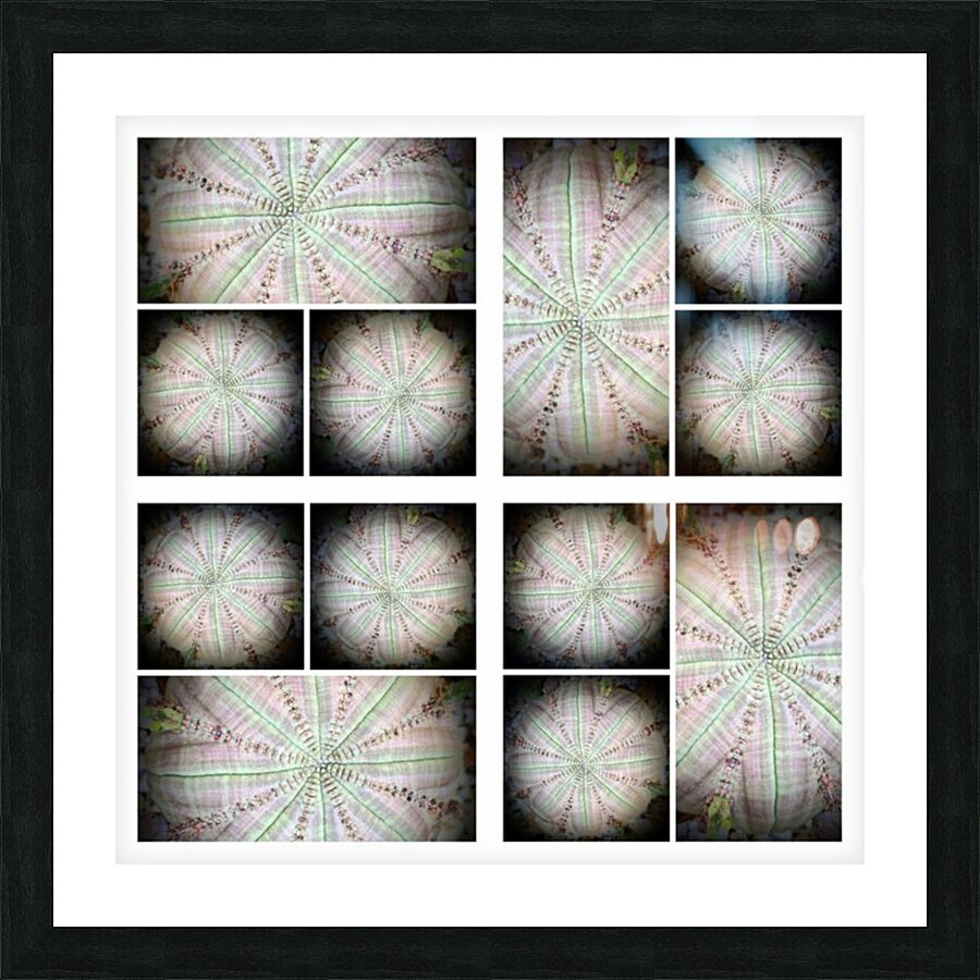 V01 Picture Frame print
