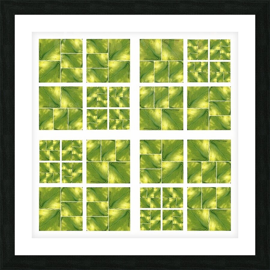 V02 Picture Frame print