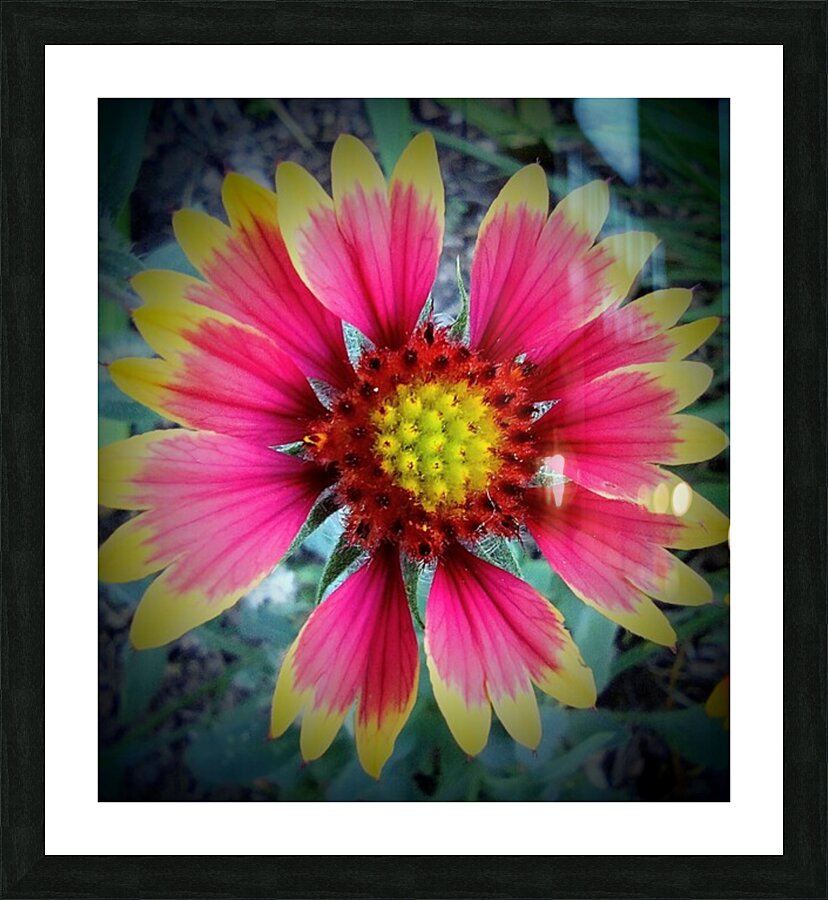 V04 Picture Frame print