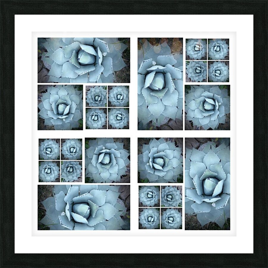 V05 Picture Frame print